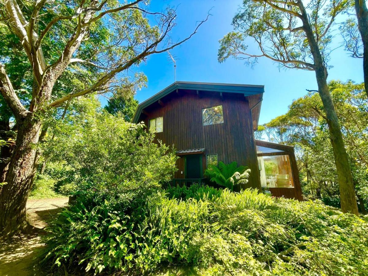 Sublime Cedar Lodge Leura Bagian luar foto