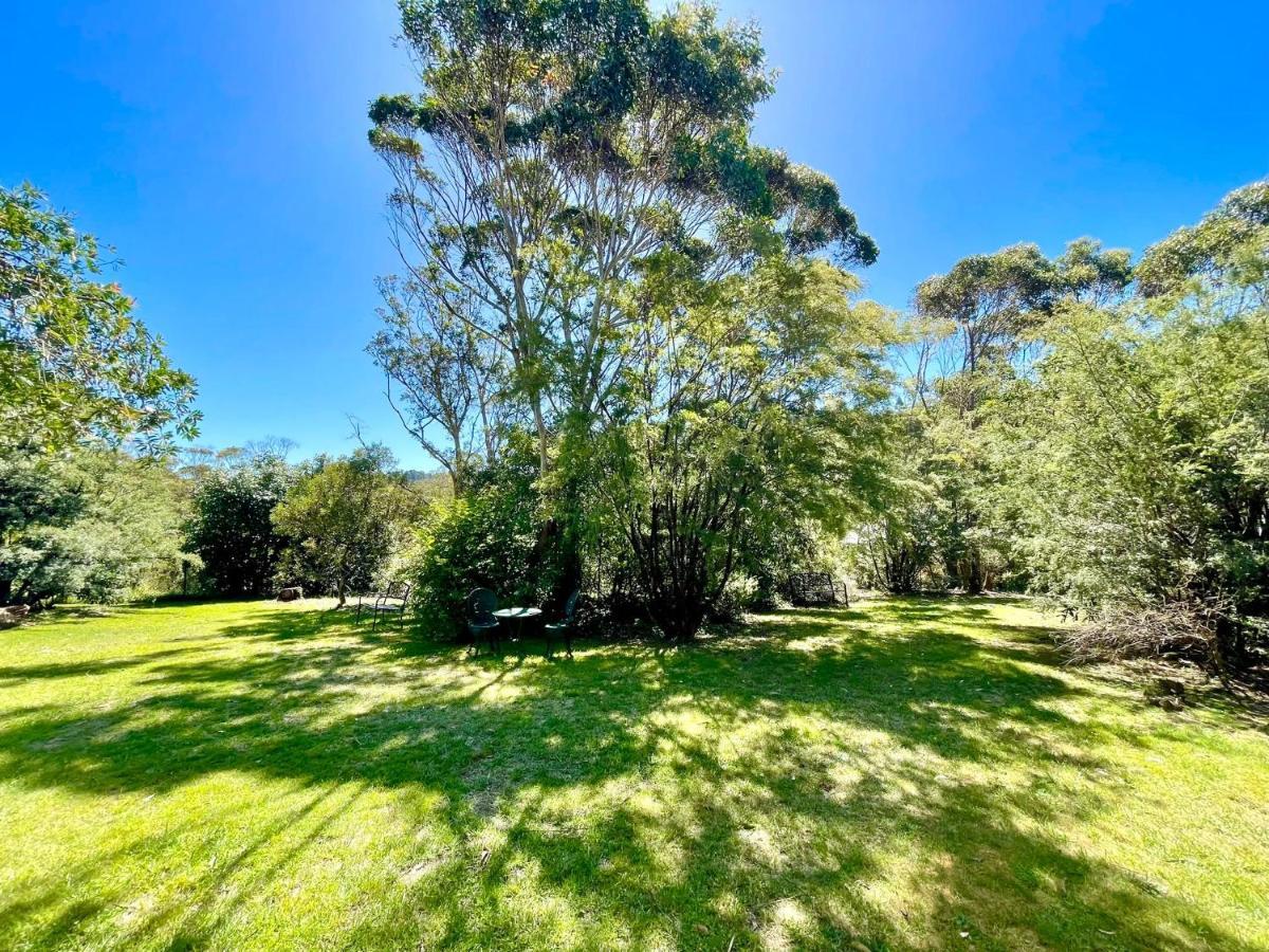 Sublime Cedar Lodge Leura Bagian luar foto